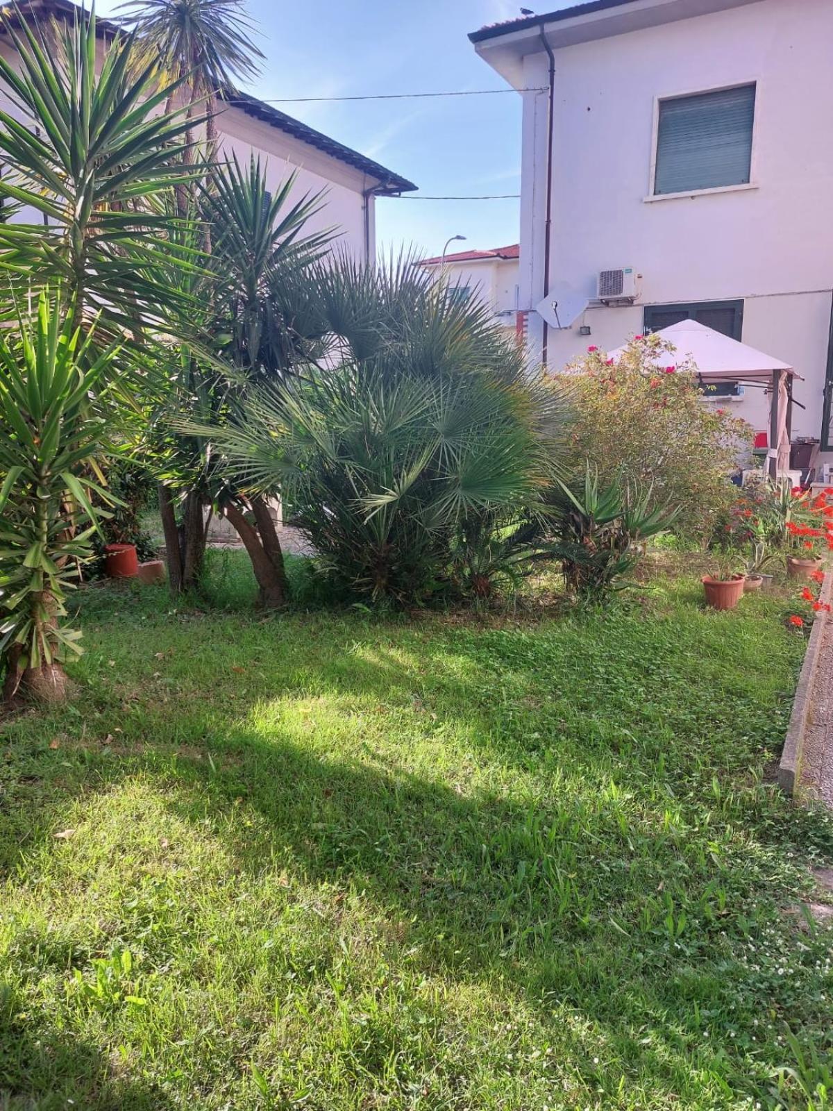 Villa Mehari Pisa Eksteriør billede